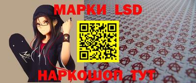 крисы Новодвинск