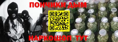 крисы Новодвинск