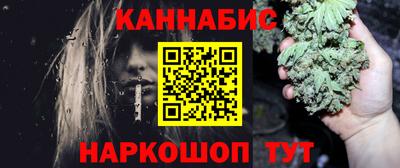крисы Новодвинск