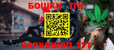 крисы Новодвинск