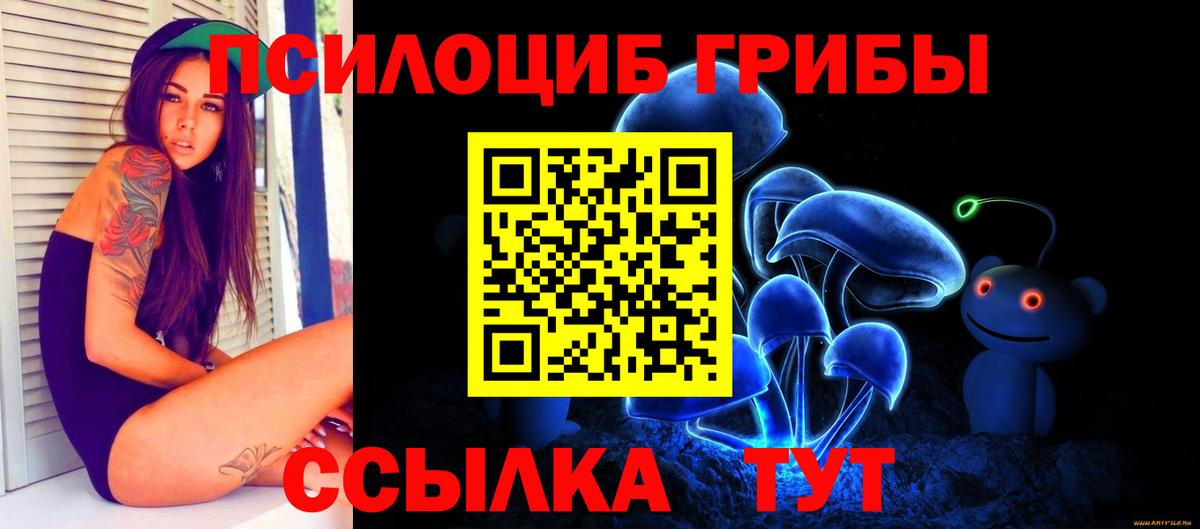 Галлюциногенные грибы Psilocybe Ртищево